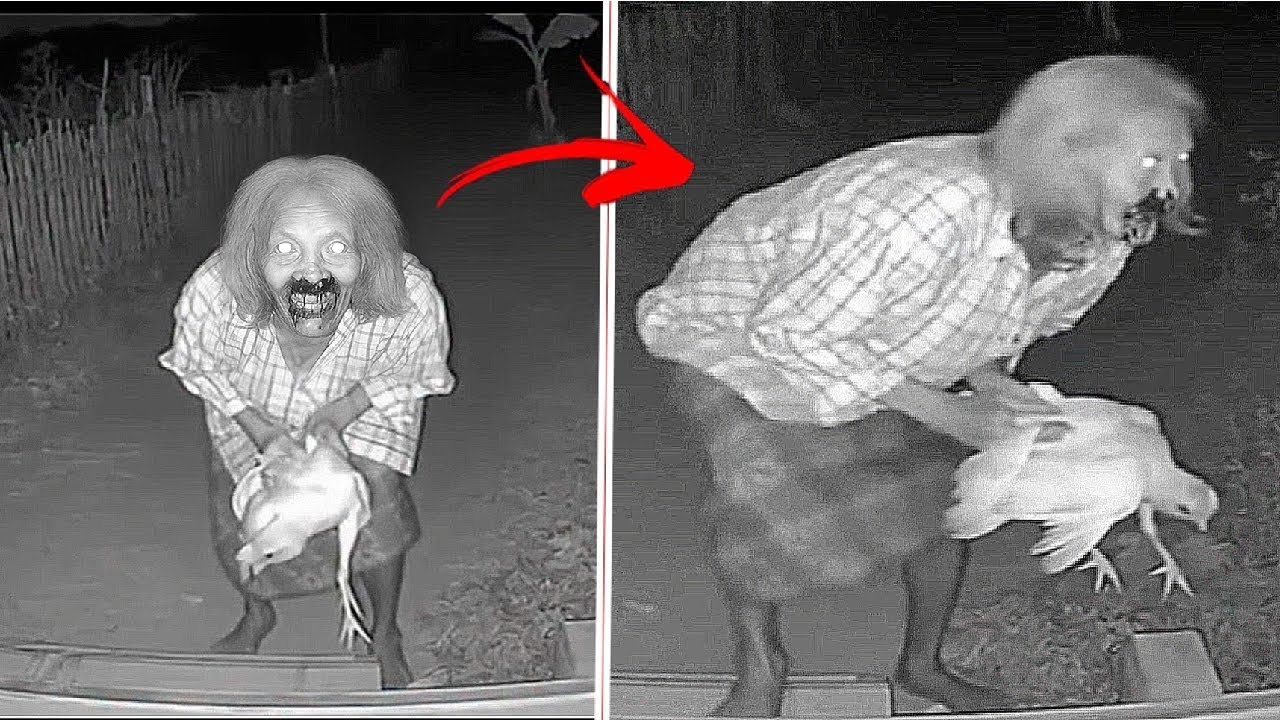 5 Videos de TERROR EXTREMO que NO te Dejar&aacute;n DORMIR 2025 | PARTE 43