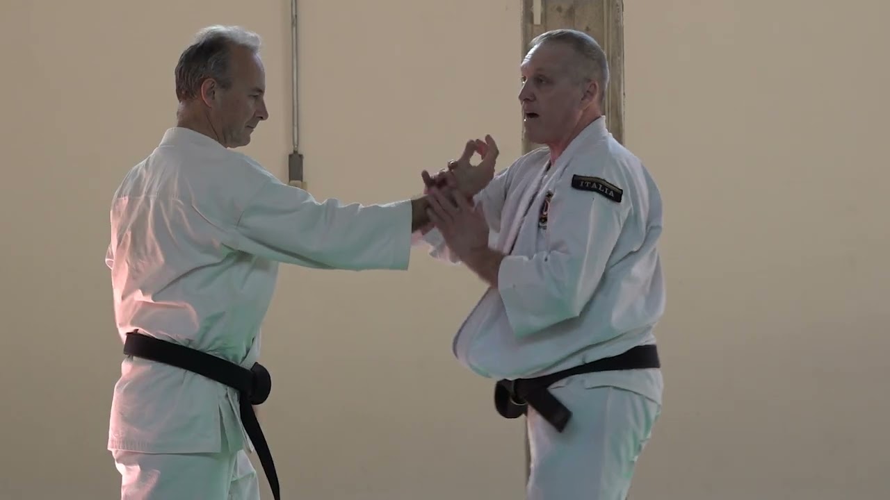 Omote Ura - Shorinji Kempo