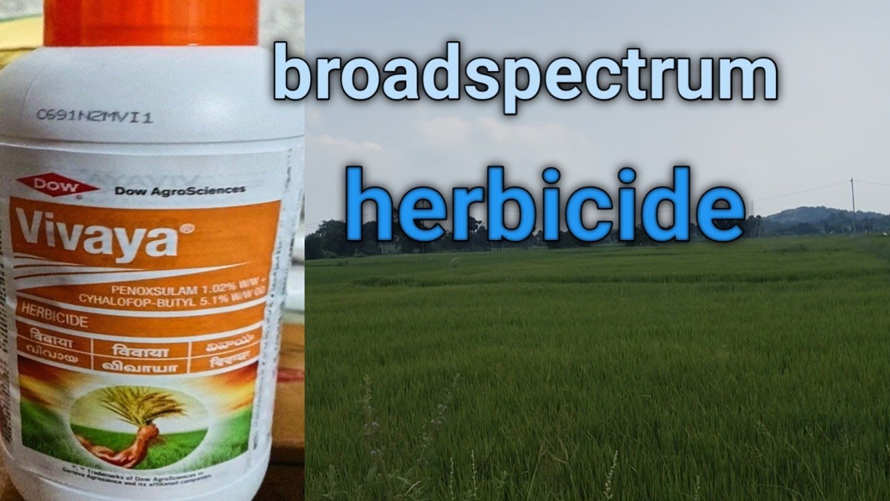 Vivaya herbicide #agriculture 