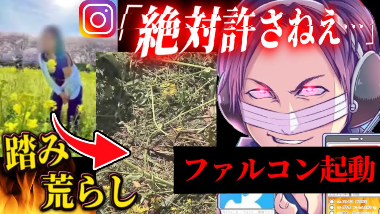 菜の花畑を踏み荒らすインスタグラマーにブチギレるコレコレ【2022/04/06】