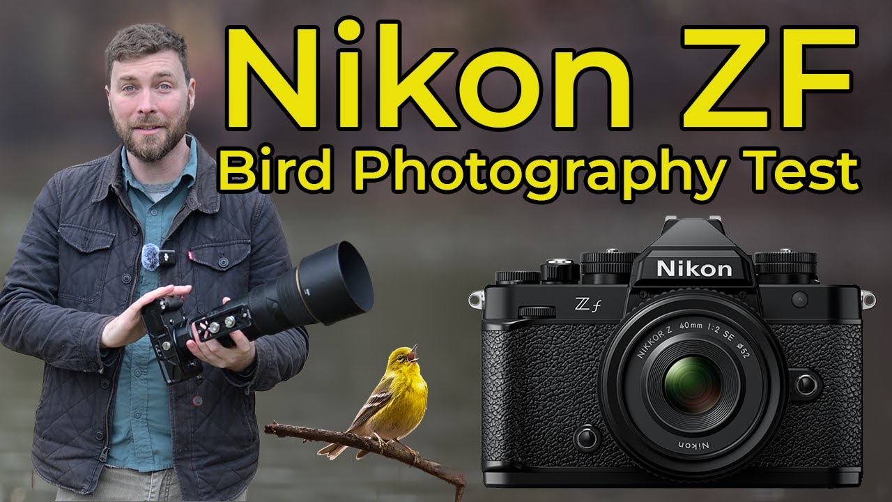 Nikon ZF для съёмки птиц — протестировано и проверено