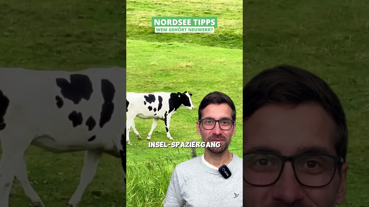 &bdquo;Wer wird Million&auml;r?&ldquo; auf der Insel Neuwerk 🔥