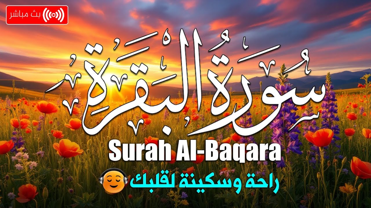 سورة البقرة طاردة الشياطين💚 بصوت هادئ ومريح جدا جدا 💚💤تلاوة هادئة للنوم والراحة النفسية 😴