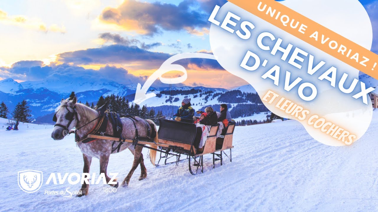 Les Chevaux et leur cochers
