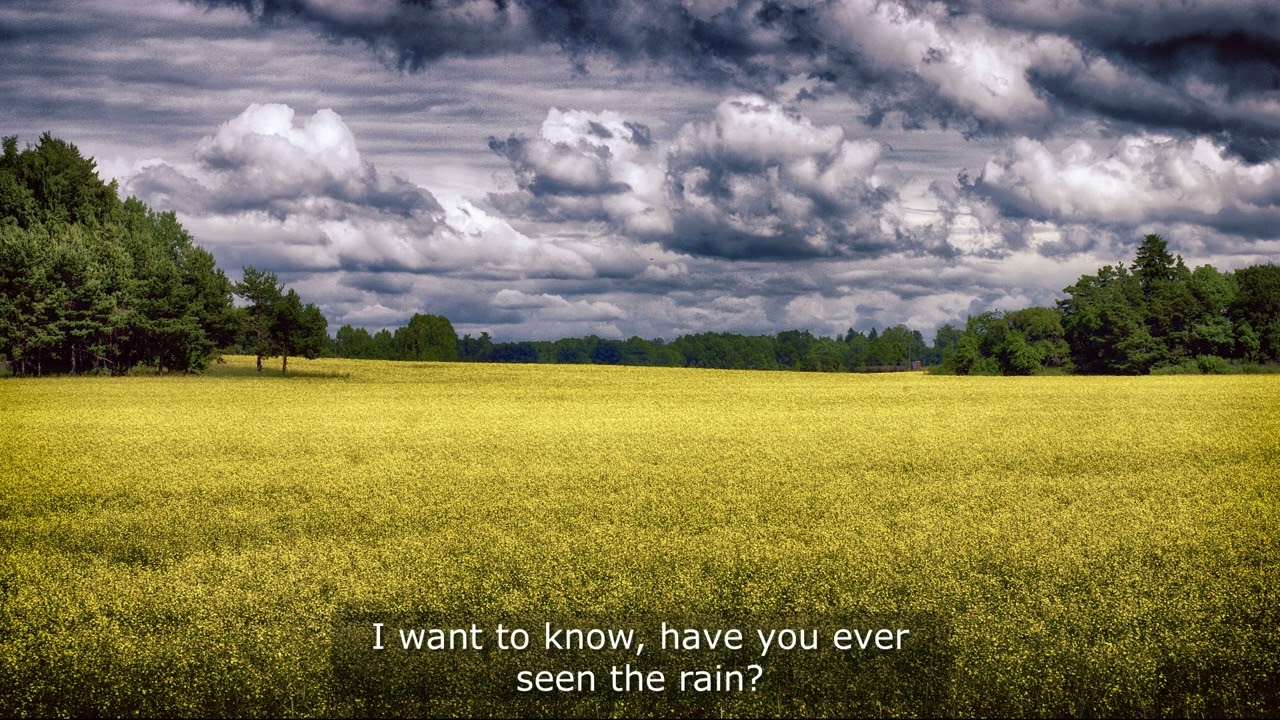 Have You Ever Seen The Rain