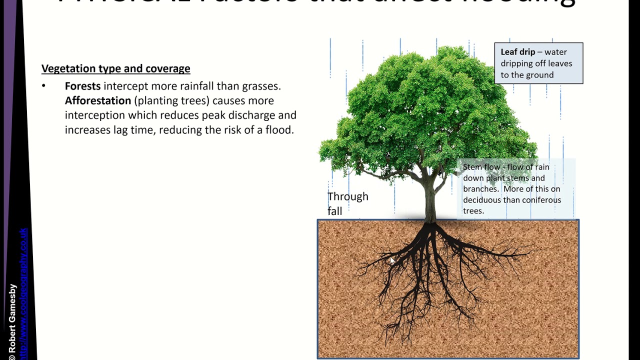 Factors affecting flooding