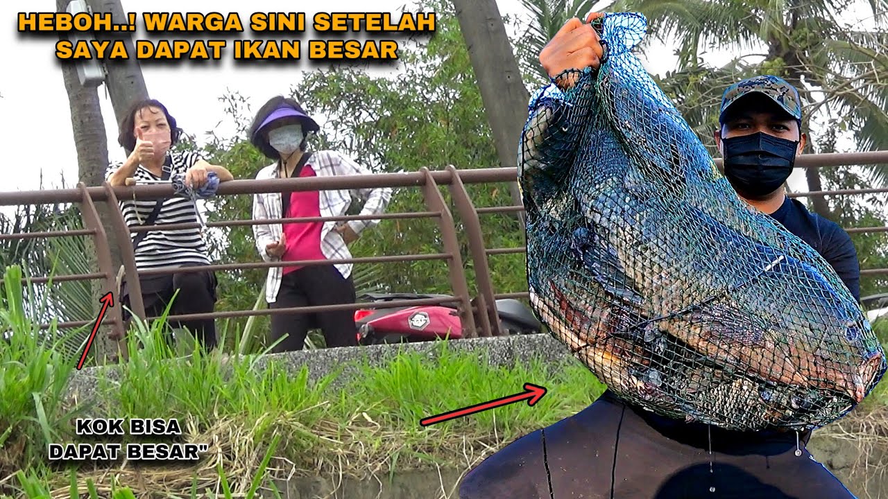 Heboh..! Mancing Di Pingir Jalan Dapat Ikan Besar Jadi Tontonan Warga