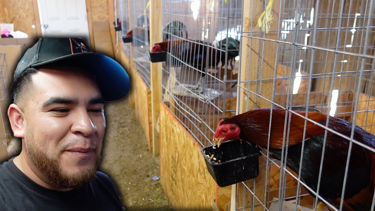 Vibing At The PELONSKI FARM‼️ | Pelon Tubero FR