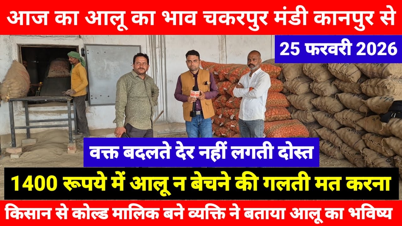 25 फरवरी 2026 // आज का आलू का भाव चकरपुर मंडी कानपुर का 1400 रूपये में आलू न बेचने की गलती मत करना