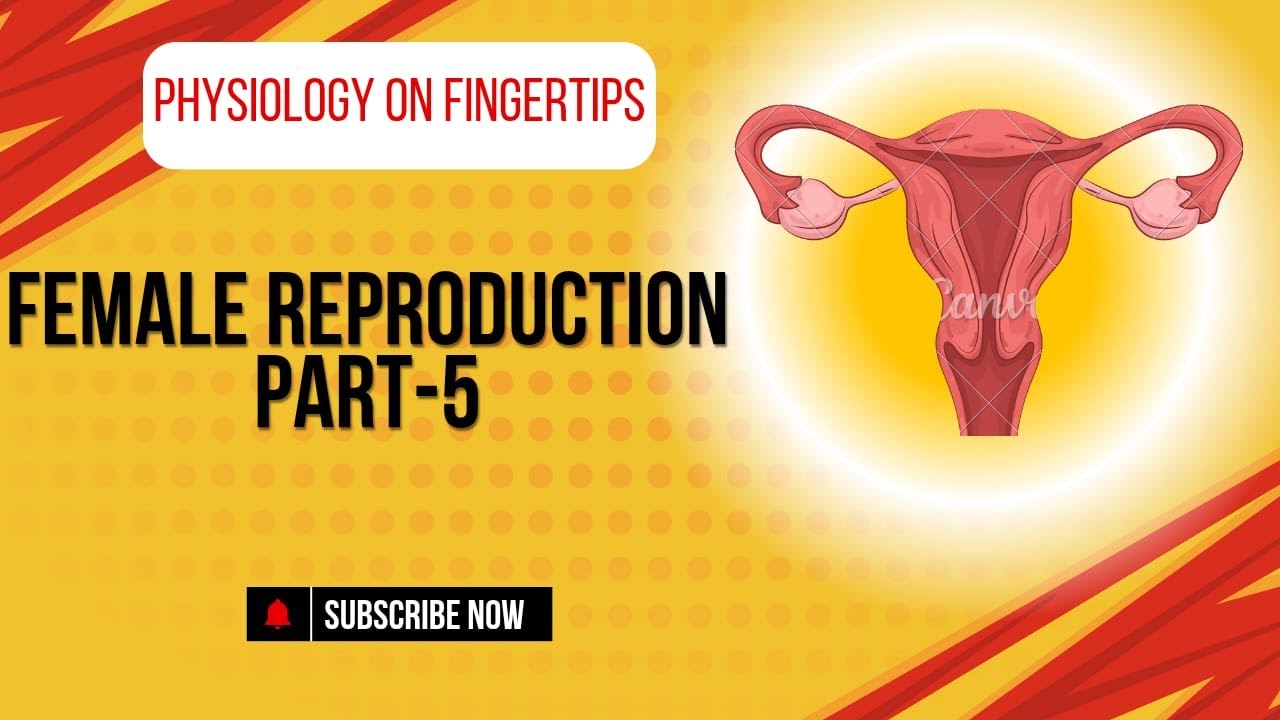 reproduction 5