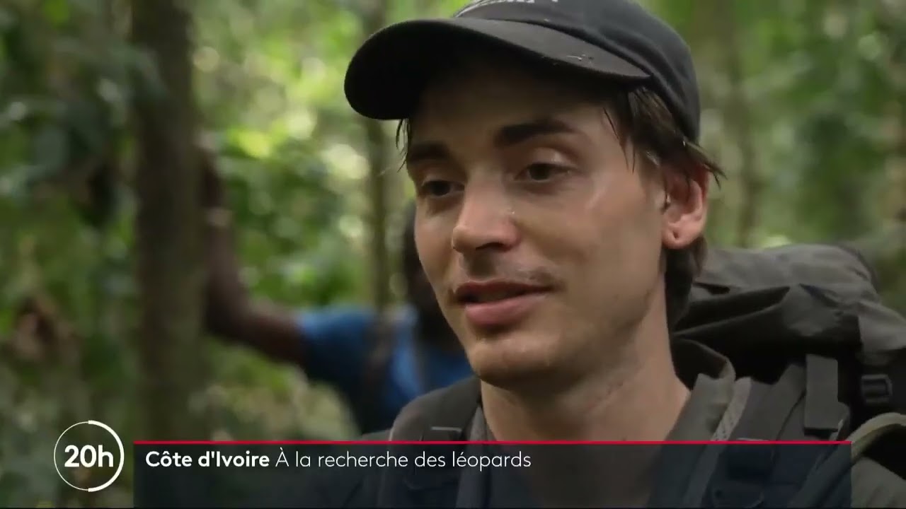 A la recherche des léopards au Parc national de Taï.
