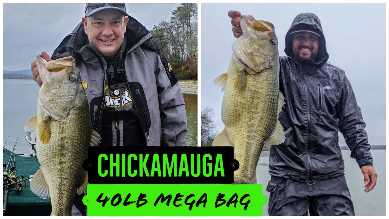 Lake Chickamauga 40lb PB MEGA Bag!!! Big shad 