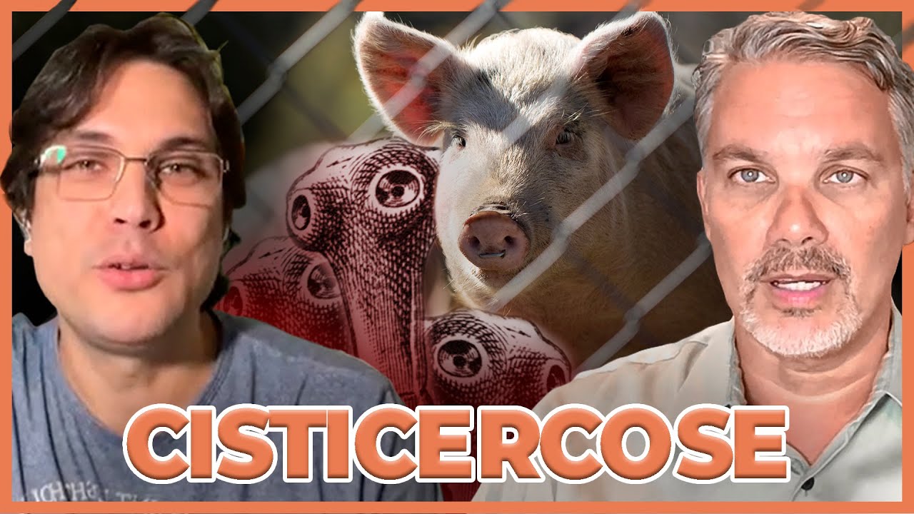 Cisticercose