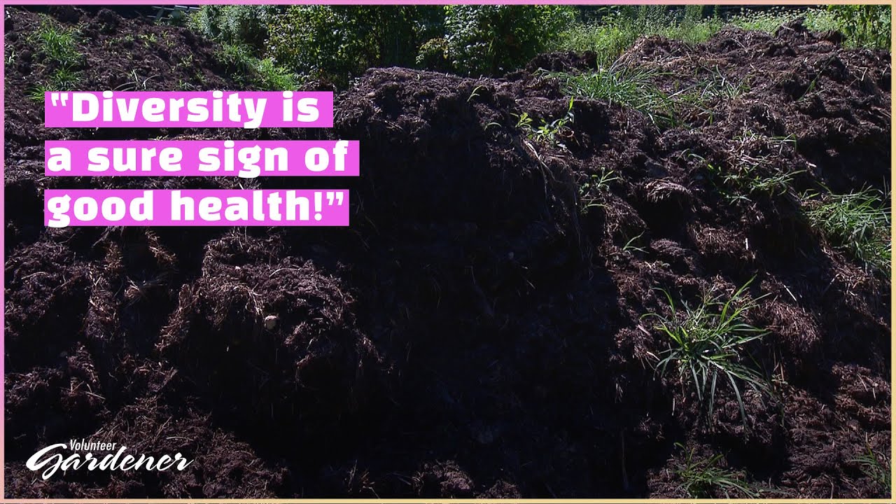 Enriching the Compost Pile with Herbs | Volunteer Gardener