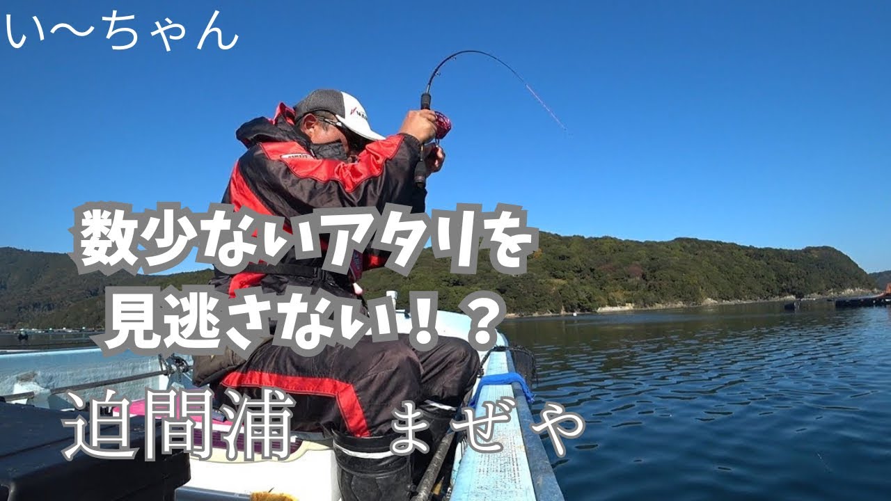 冬の南伊勢で大物狙い！養殖イケスが並ぶ迫間浦は寒くなっても熱い！？　三重県南伊勢町迫間浦　まぜや