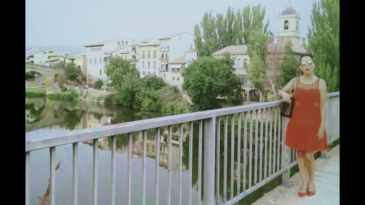 ÚLTIMO DÍA DE LAS FIESTAS DE PUENTE LA REINA (NAVARRA)