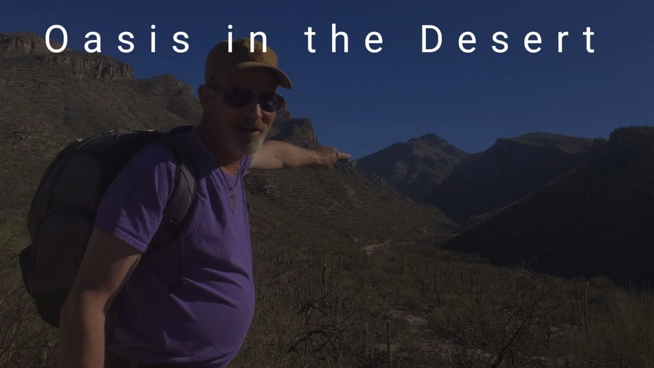 Oasis in the Desert |Bear Canyon | 7 Falls hike