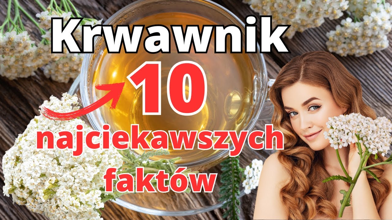 Krwawnik Pospolity🌿🌼, Właściwości i Zastosowanie. Zobacz, 🍵Jak To Zioło Może Zmienić Twoje Życie!😊🌼