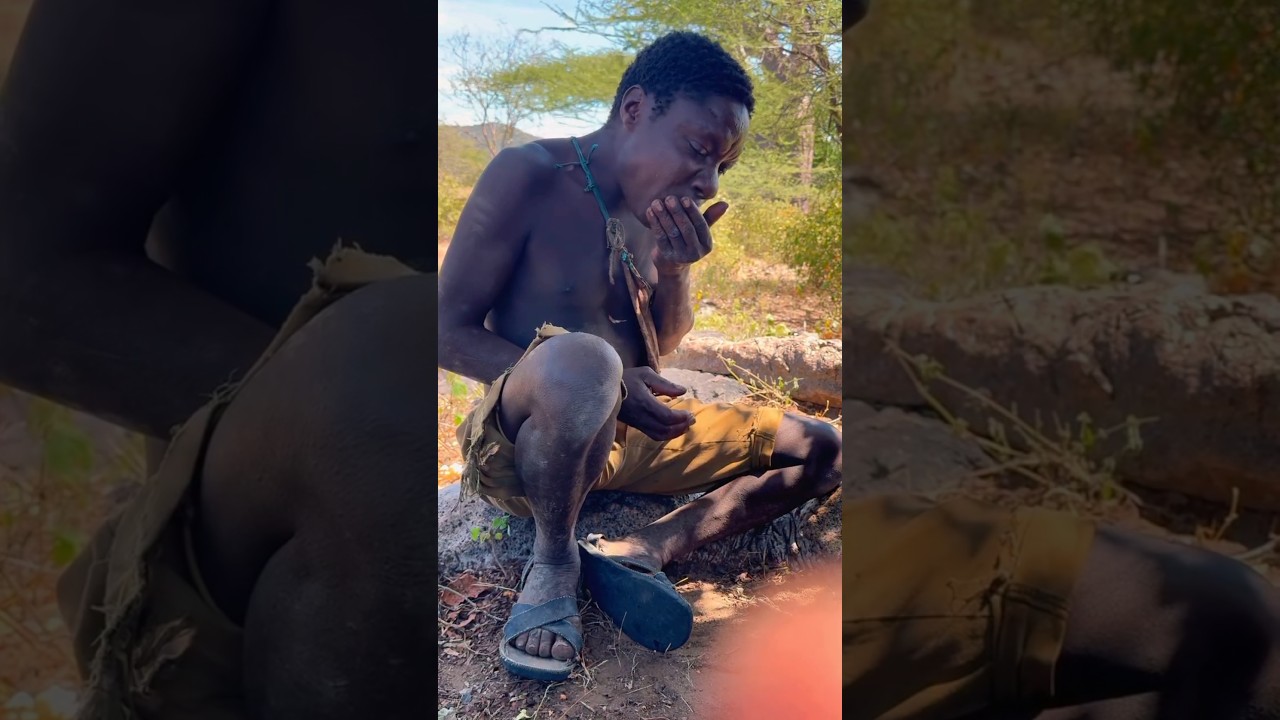 What do Adivasis boil and eat from volcanic springs 