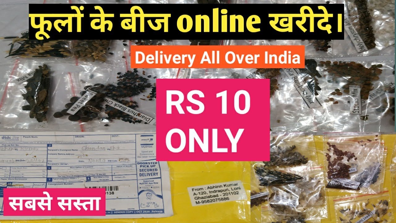 Online seeds in India. India me sabse sasta flower seeds yaha Online delivery milta hai.