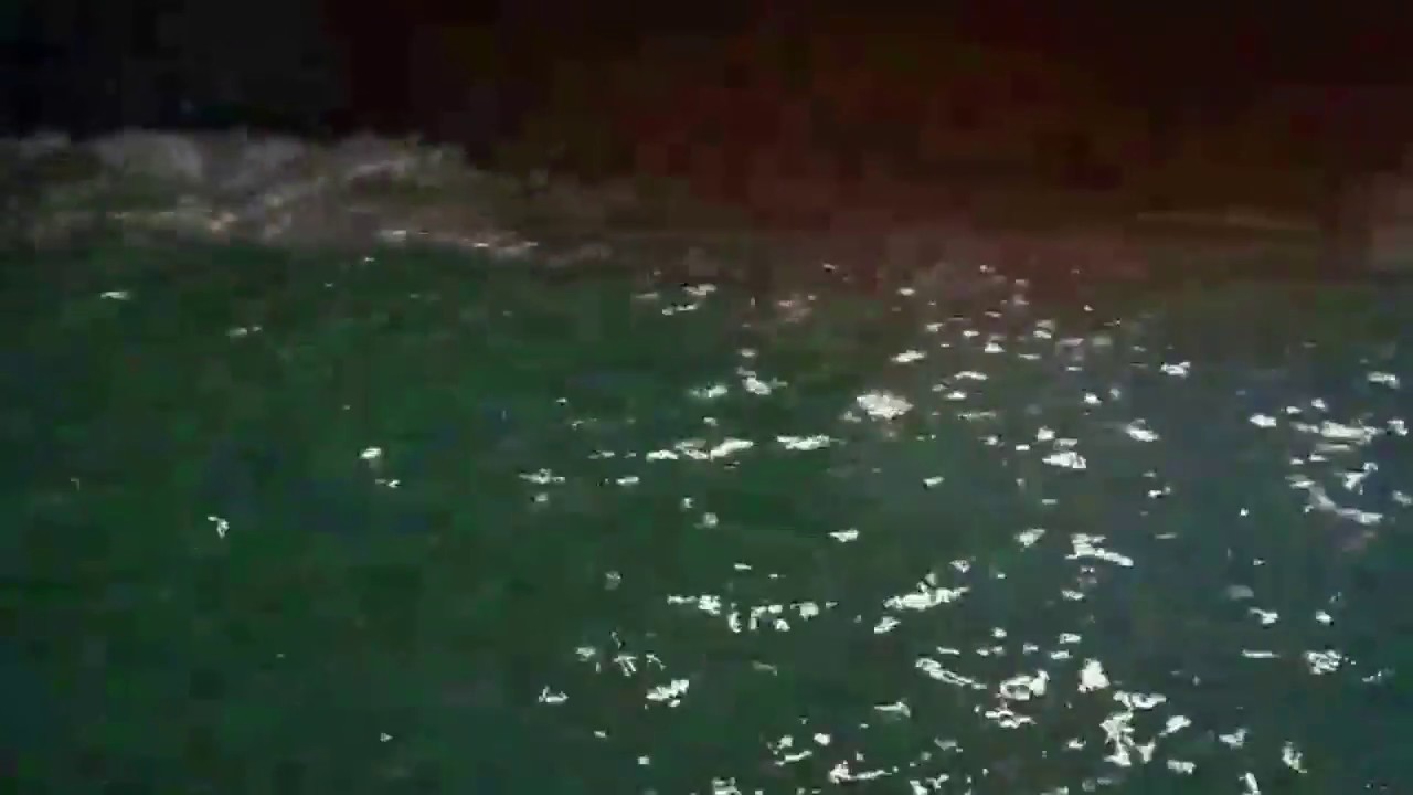 馬祖日報2018/07/08／颱風前夕　橋仔碼頭８日凌晨沙丁魚飛竄