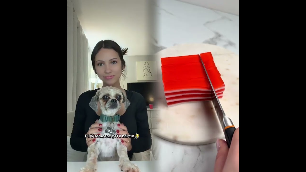 2026 POV Unhinged Funny Clips You Can’t Miss #humor #fyp #pov #trending #foryoupage 😜🔥