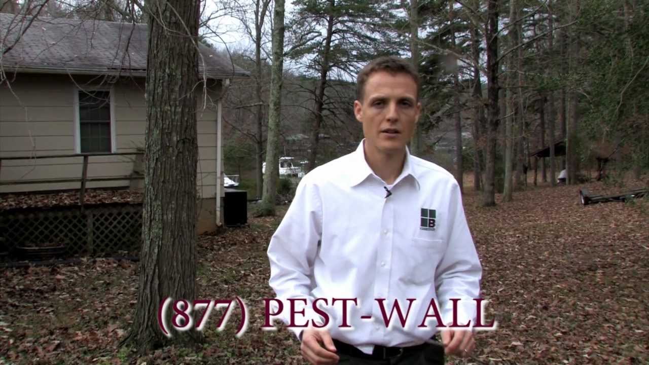 Why Do Spiders Come Inside - Charlotte Pest Control