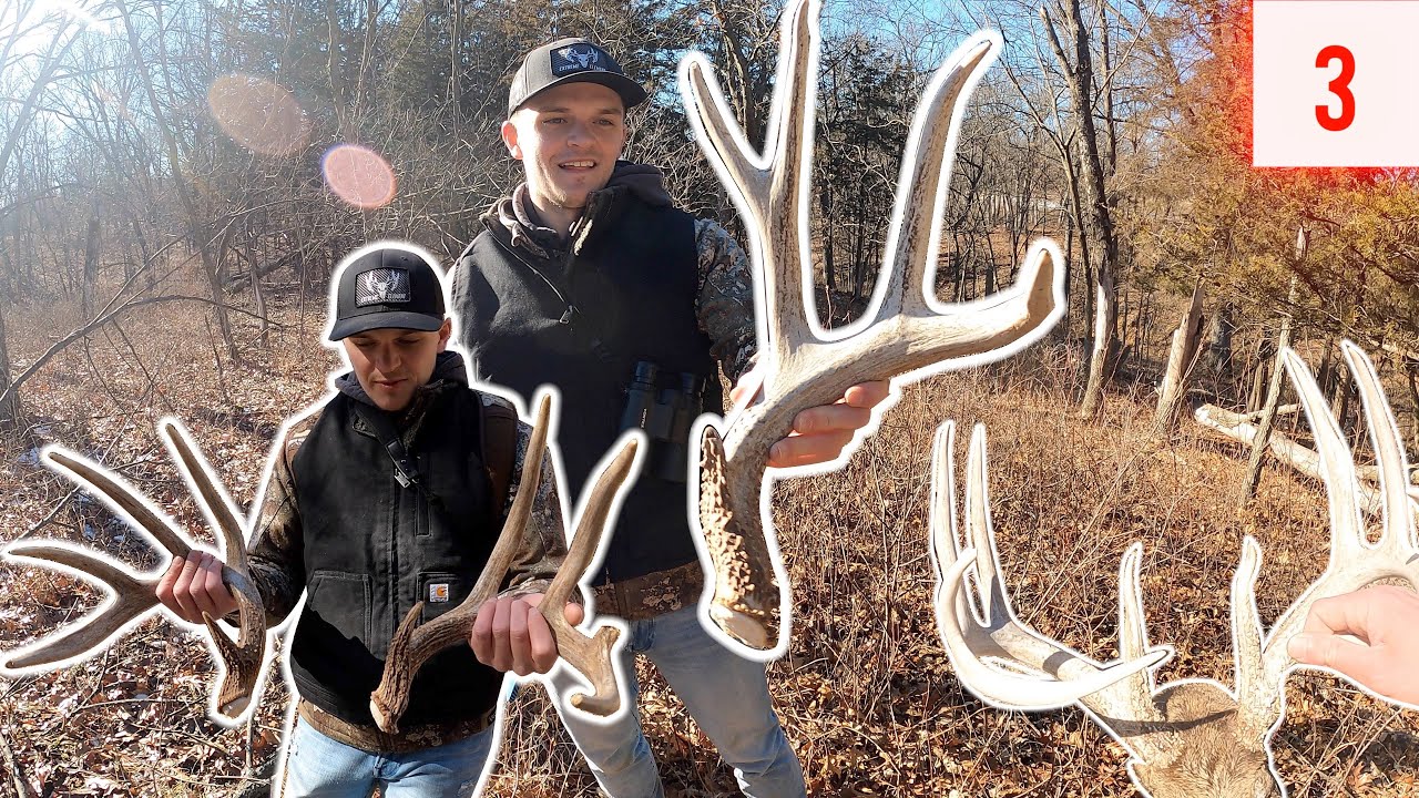 Find BIG SET, IOWA MULEY & Unlucky Deadheads | Shed Hunting 2023 E3
