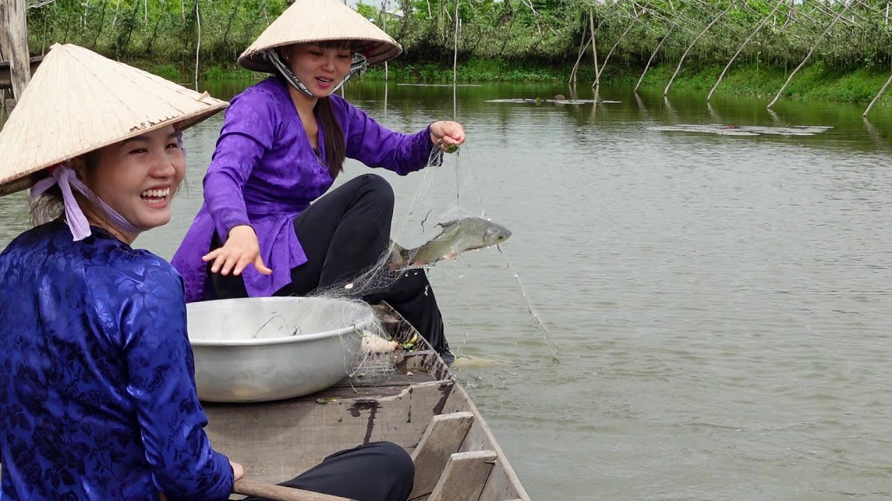Sáng Ra Đồng Hái Đậu Đũa Giăng Lưới Cá Linh về làm Bữa Cơm Đồng Quê | HQ #1248