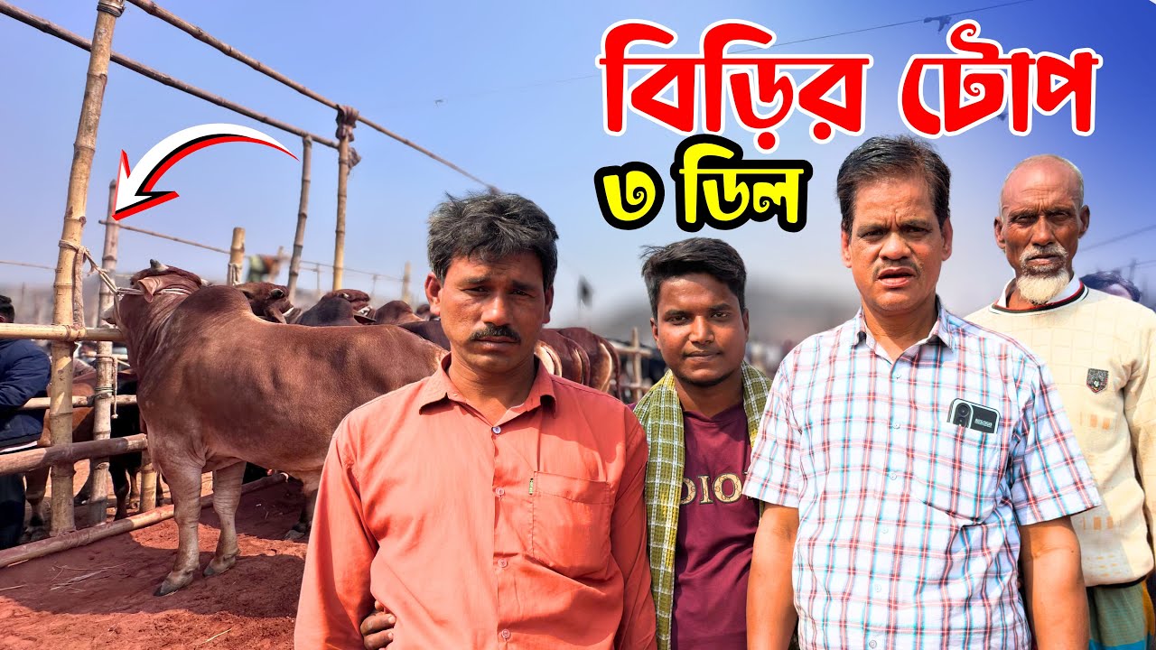 লাইভ ট্রেডিং! 🔥 অল্প বয়সী ব্যাপারীর গরু বিক্রি | রাজশাহী সিটি হাট | Cow Trading Bangladesh