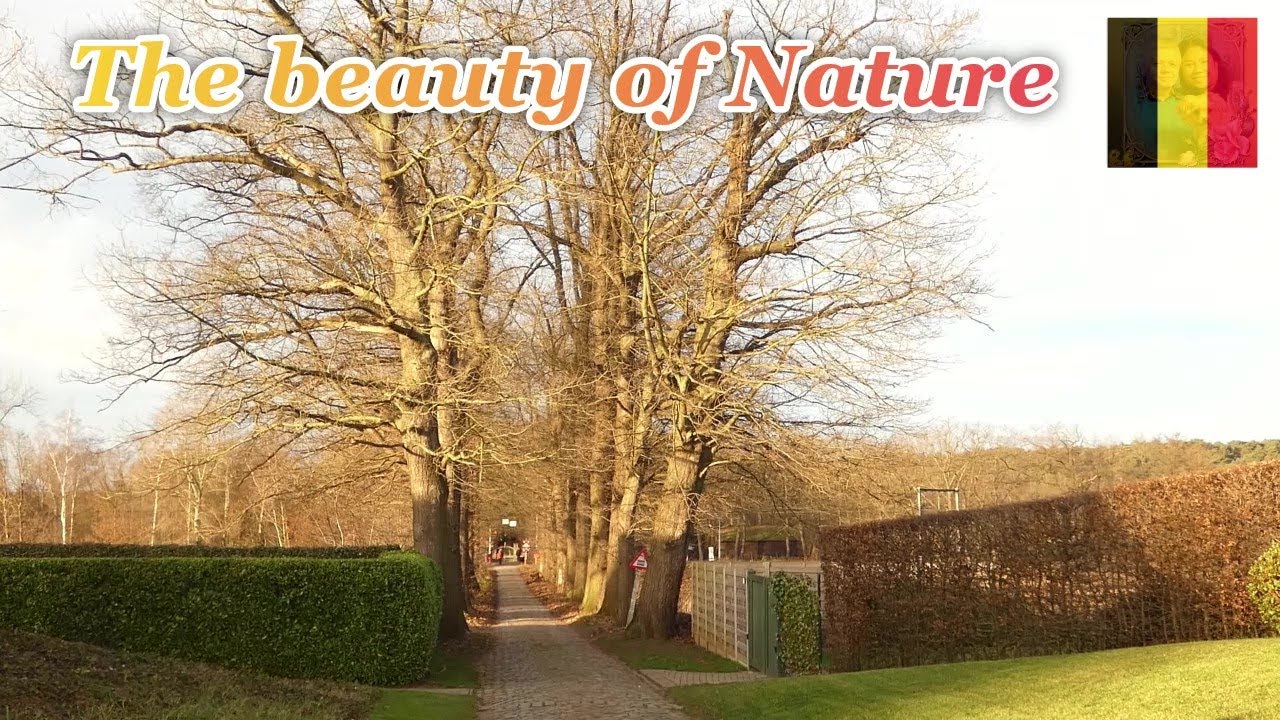 VERY RELAXING & BEAUTIFUL VIEW OF THE NATURE // WONDERFUL NATURE OF BELGIUM // EUROPE // ELLA'SLIFE