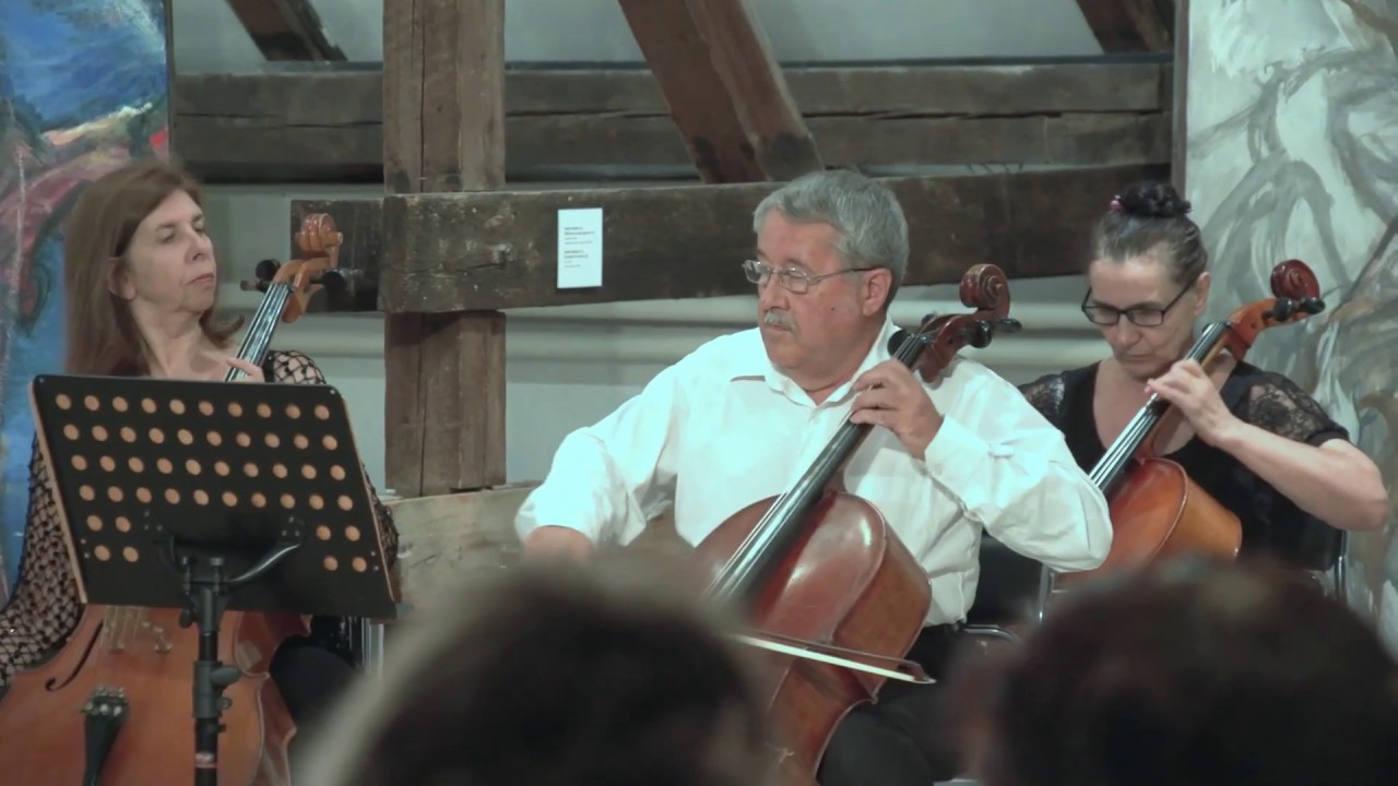 KAMMERORCHESTER 