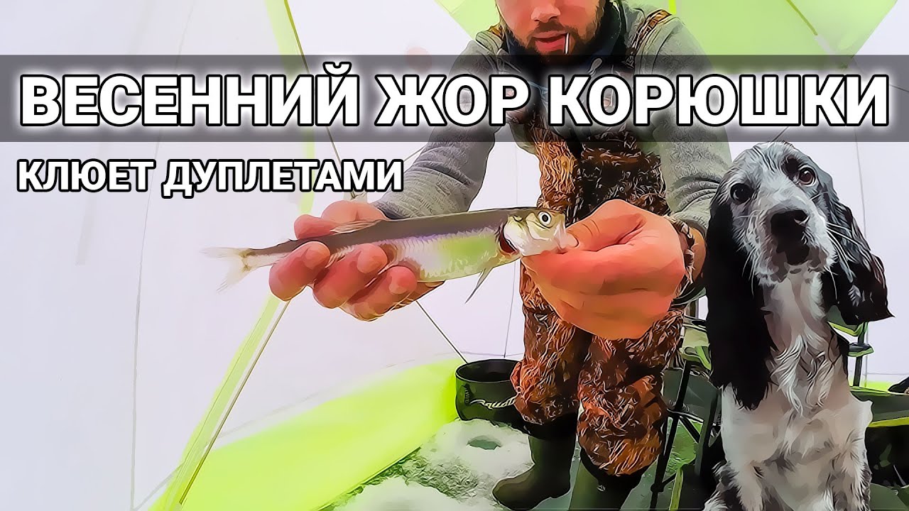 Наконец-то КОРЮШКА пошла! Попал на клев весенней корюшки