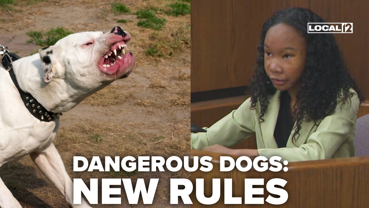 New Ohio law allows seizure of dangerous dogs; stronger penalties for owners