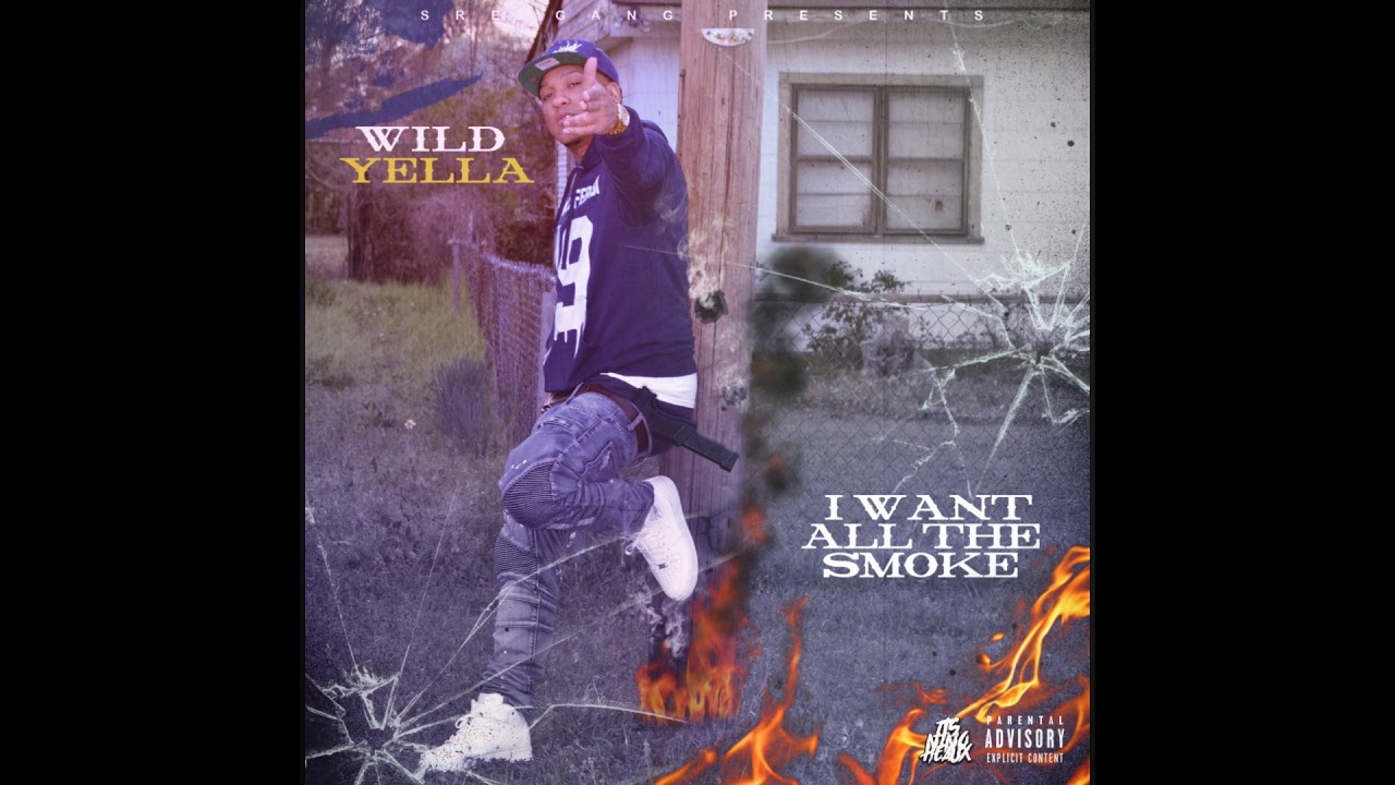 Wild Yella - No Friends (Ft. Ant Bankz)