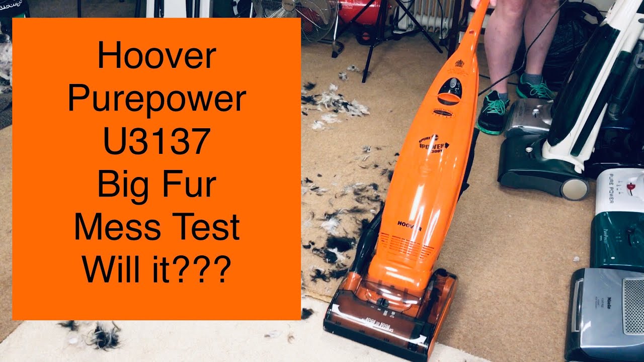 Hoover Purepower U3137 Big Fur Mess Test