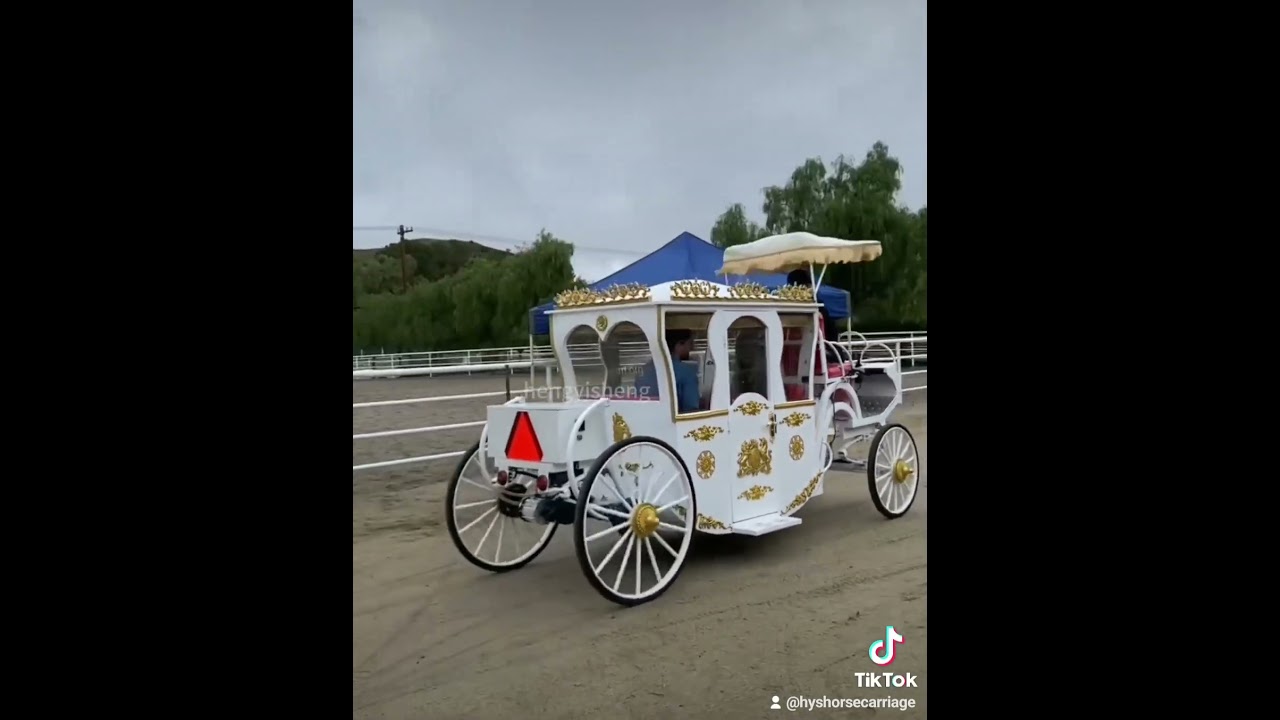 Sightseeting outdo Royal electric carriage for special events