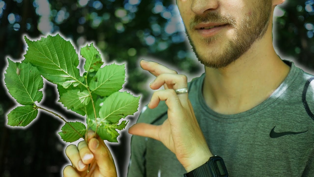 ASMR Nature Triggers with whispering