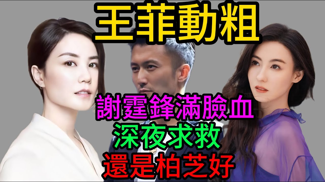謝霆鋒滿臉是血求救張柏芝！王菲深夜發瘋掄凳子砸人？那句“還是柏芝溫柔”徹底終結25年戀情#王菲#張柏芝#謝賢#鋒菲戀#豪門恩怨#Lucas#Quintus#四胎生女#娛樂大瓜#明星八卦#半山豪宅#家暴