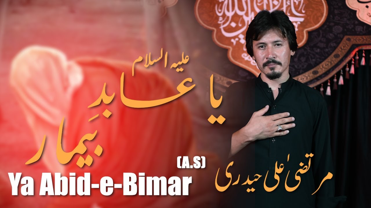 New Farsi Noha | Ya Abid-e-Bimar | Murtaza ALi Hyderi Noha | 2024/1446