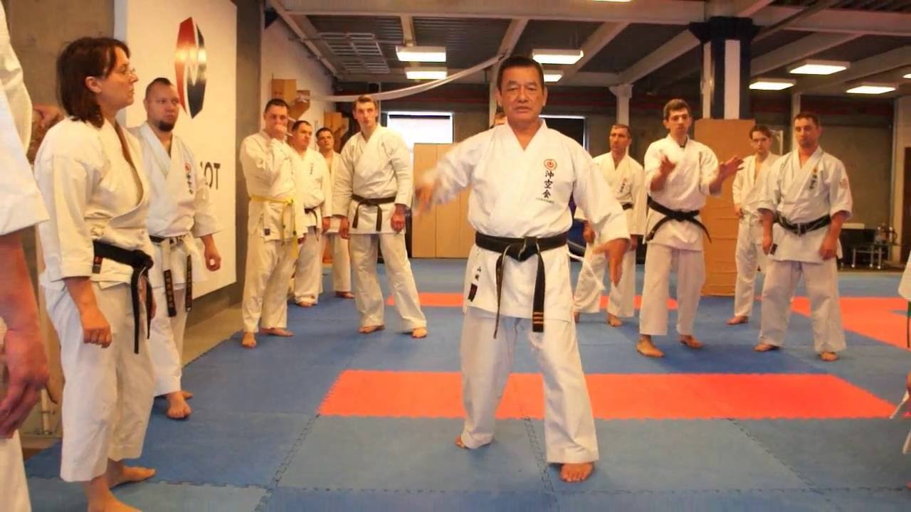 Seminar in Russia, Sensei Yamashiro Hirokuni 8th dan Uechi Ryu Karate Do / 11-12 June 2016