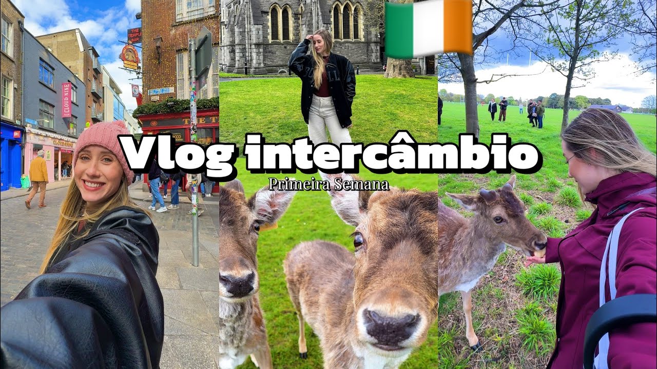Vlog intercâmbio: primeira semana em Dublin - Irlanda 🇮🇪