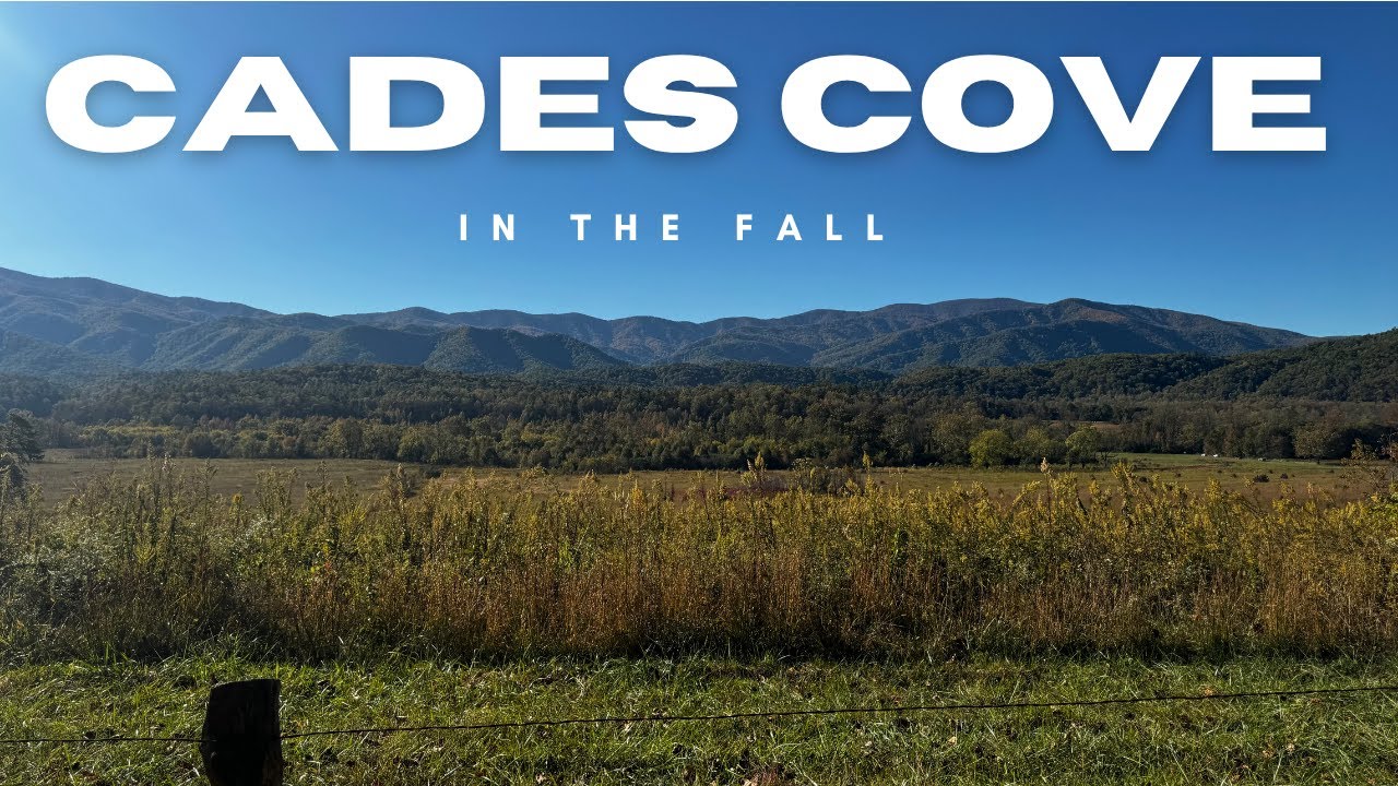 🍁 Fall in Cades Cove — Great Smoky Mountains National Park 🍂