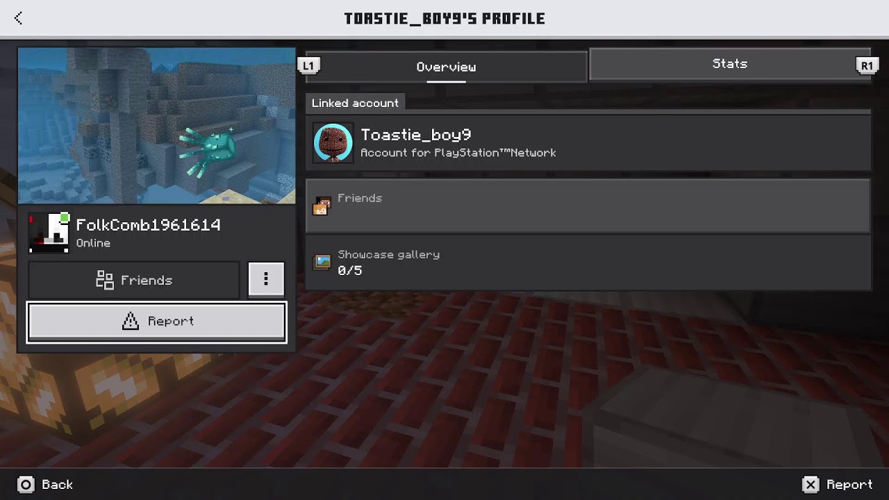 Playing Minecraft For Fun!