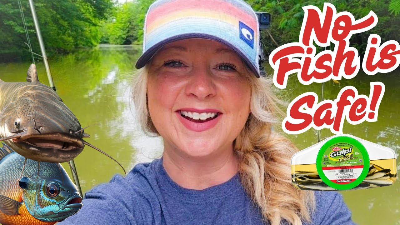 How Many Fish Can I Catch With Just Gulp Minnows?