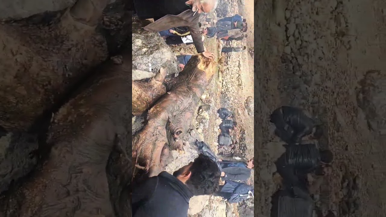 Village life digging graves in the cold