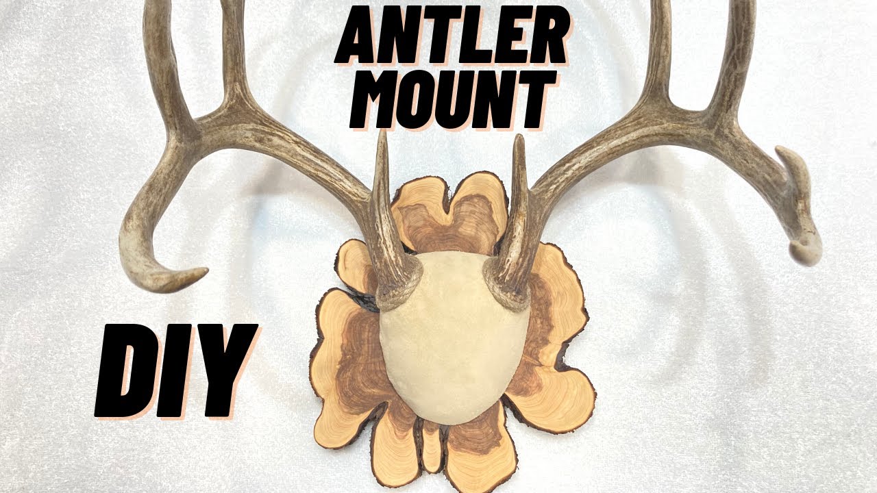 Antler Mount DIY on a budget | Quick and easy DIY