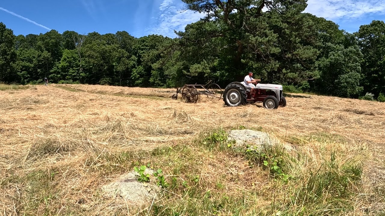 Haying A Rocky Field