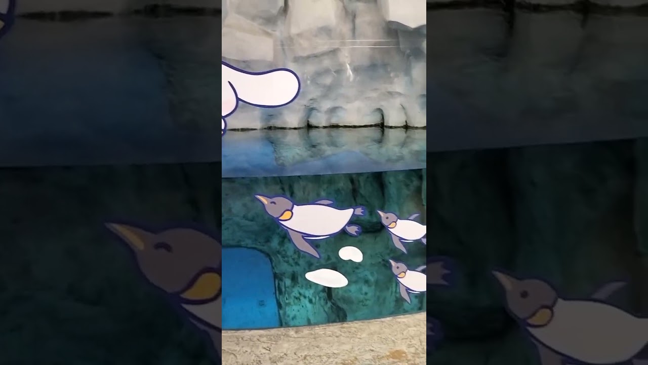 First time to see real live Penguins in Hong Kong 