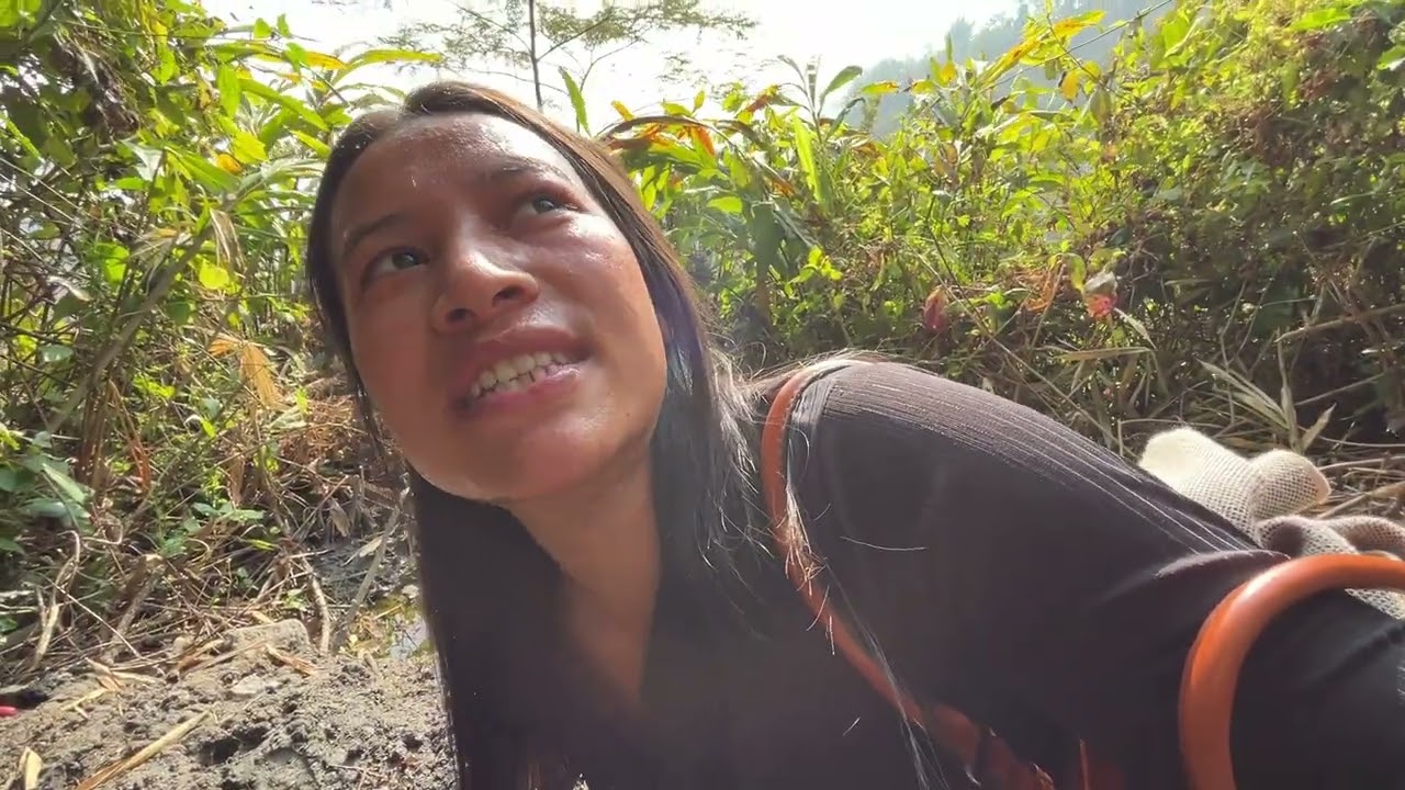 #Mero gaau # memories #shortvideo #glorytogod @Mahakaal1111 